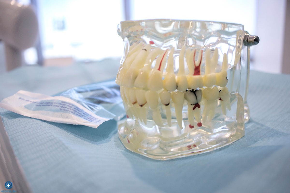 Teeth