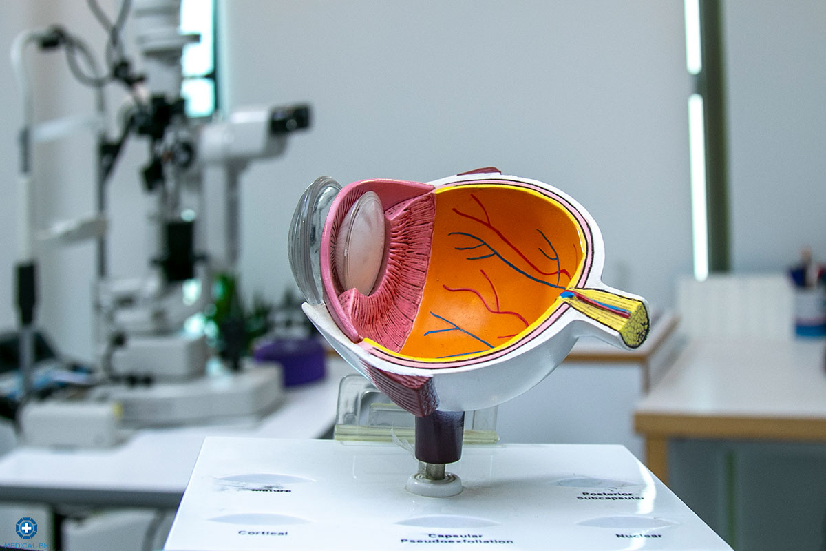 Eye sample